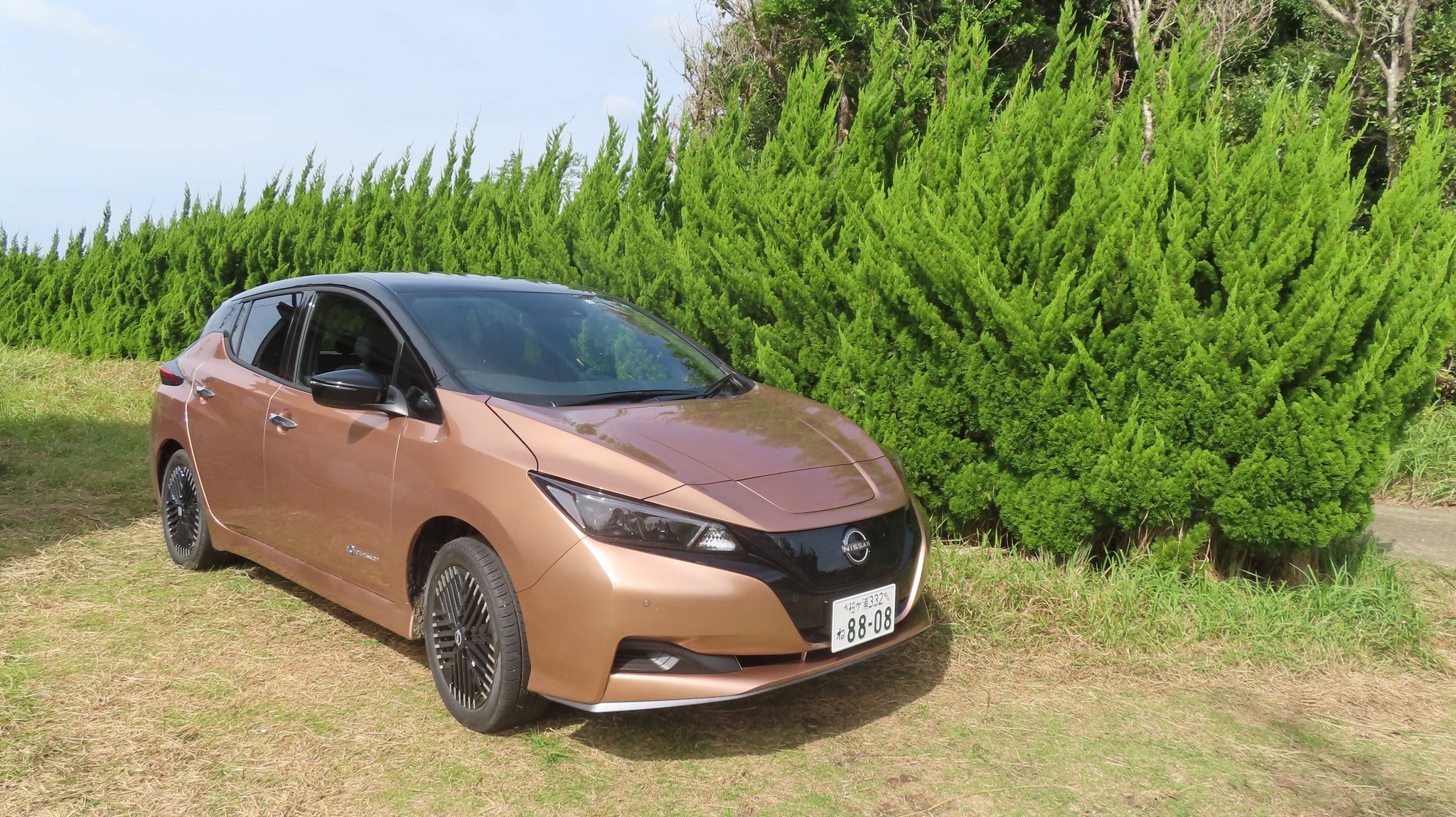 日産リーフe+ 60kWh☆購入編 - 有限会社ウィルウィンド